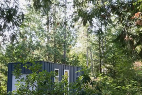 Aux Box Cabin Fern Fall The Cabin Hub