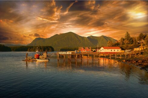 cabin life tofino